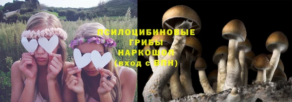 ALPHA PVP Кодинск