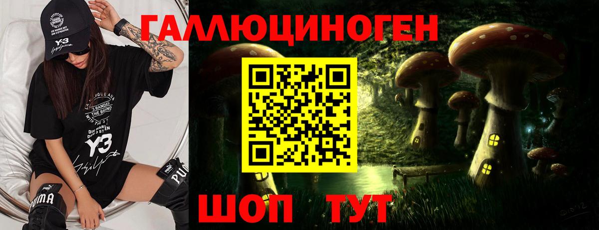 Галлюциногенные грибы Magic Shrooms  Сертолово  где купить наркоту  Псилоцибиновые грибы Psilocybine cubensis 